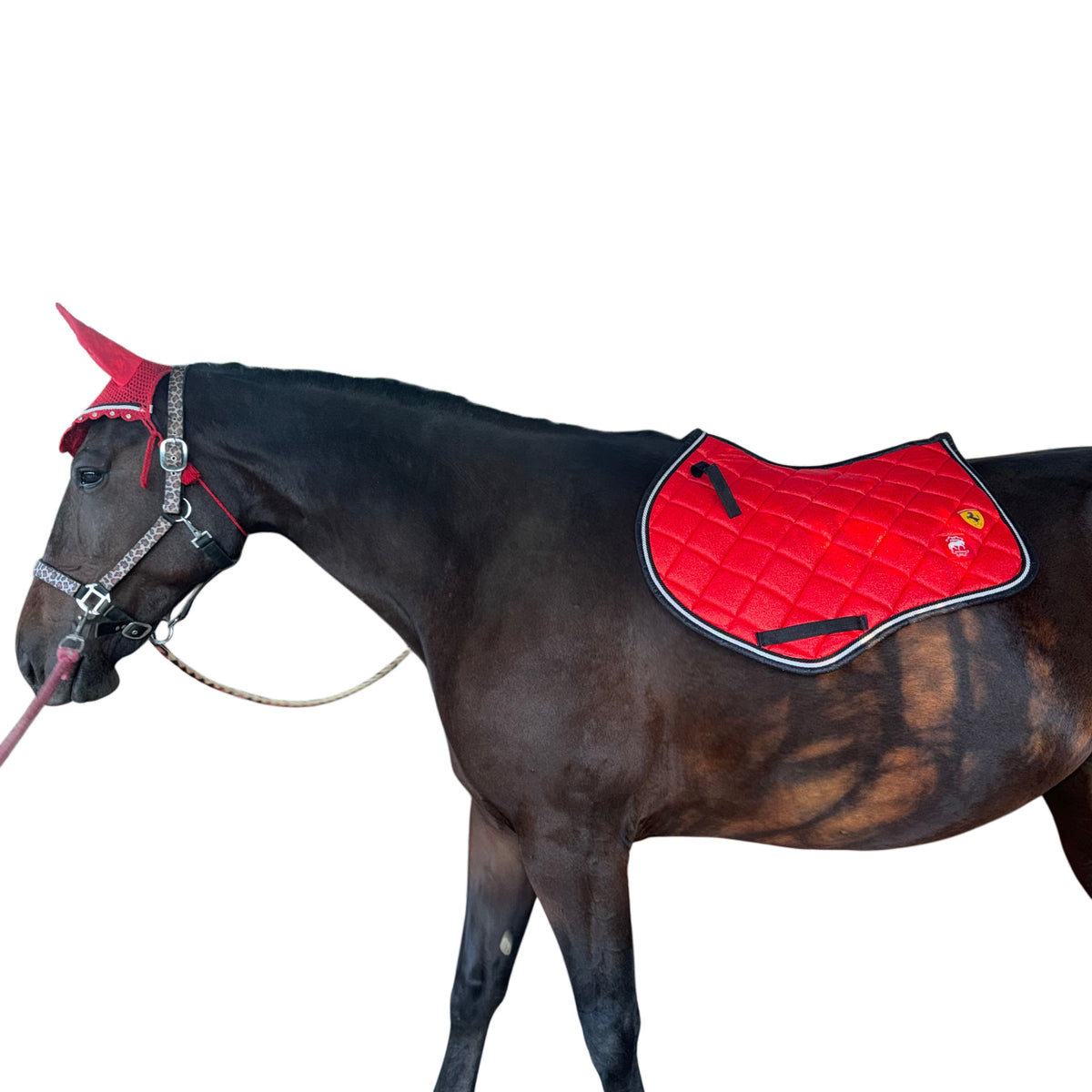 Saddlepad showjumping and bonnet red glitter