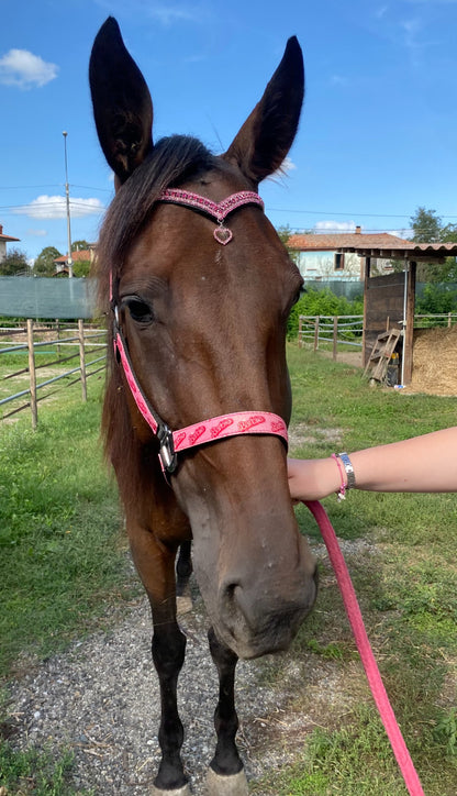Frontalino Heart Charm