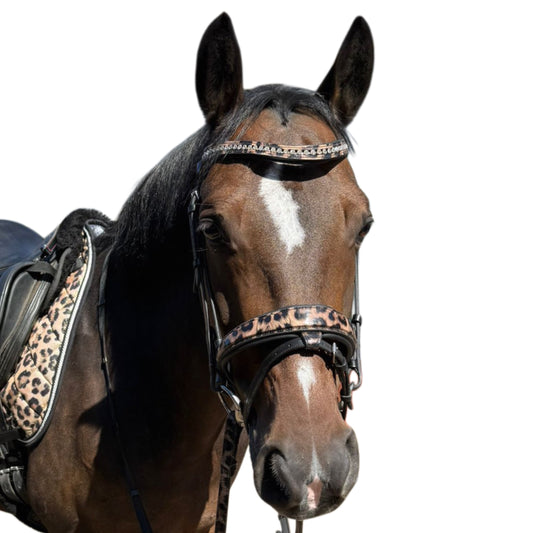 Bridle with reins leopard brown
