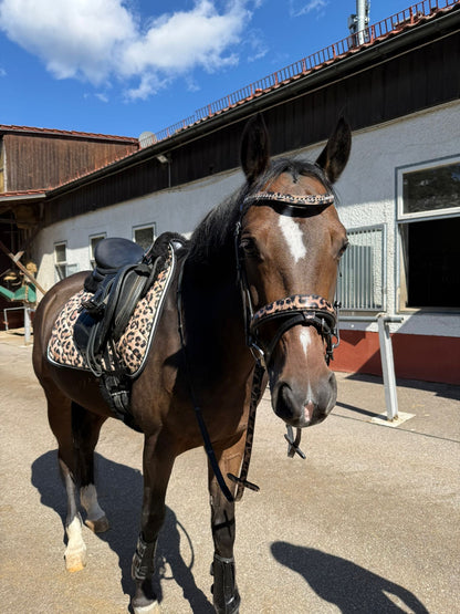 Bridle with reins leopard brown