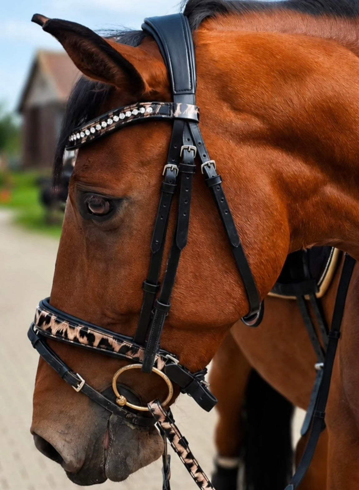 Bridle with reins leopard brown