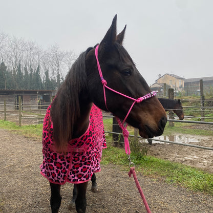 Fleece blanket leopard fucshia