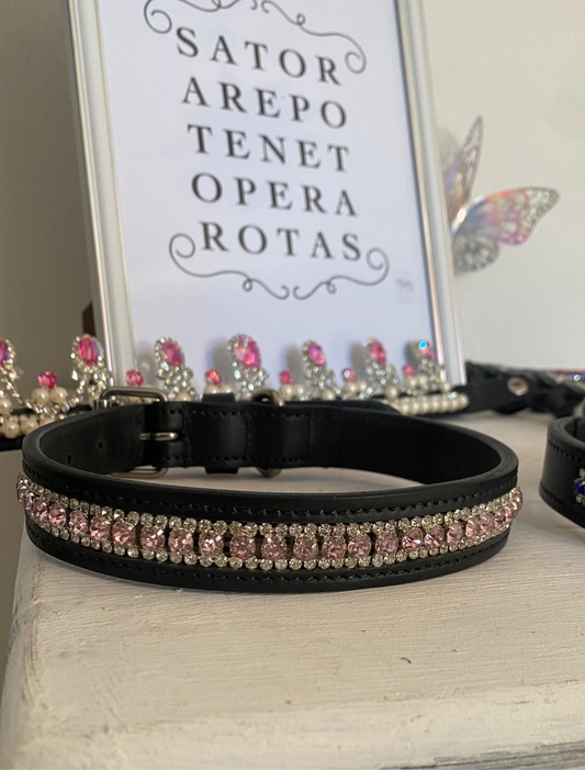 Collare per cane Royal Pink 🩷