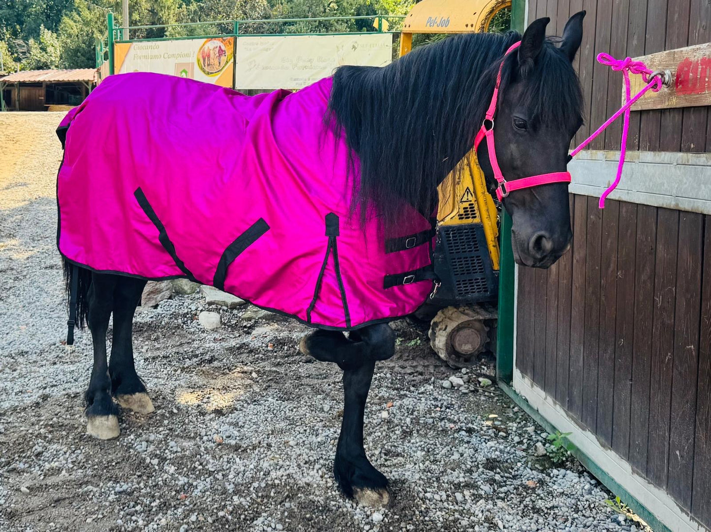 Coperta fucsia glitter
