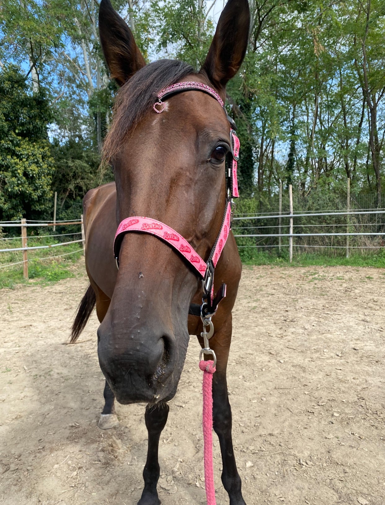 Frontalino Heart Charm