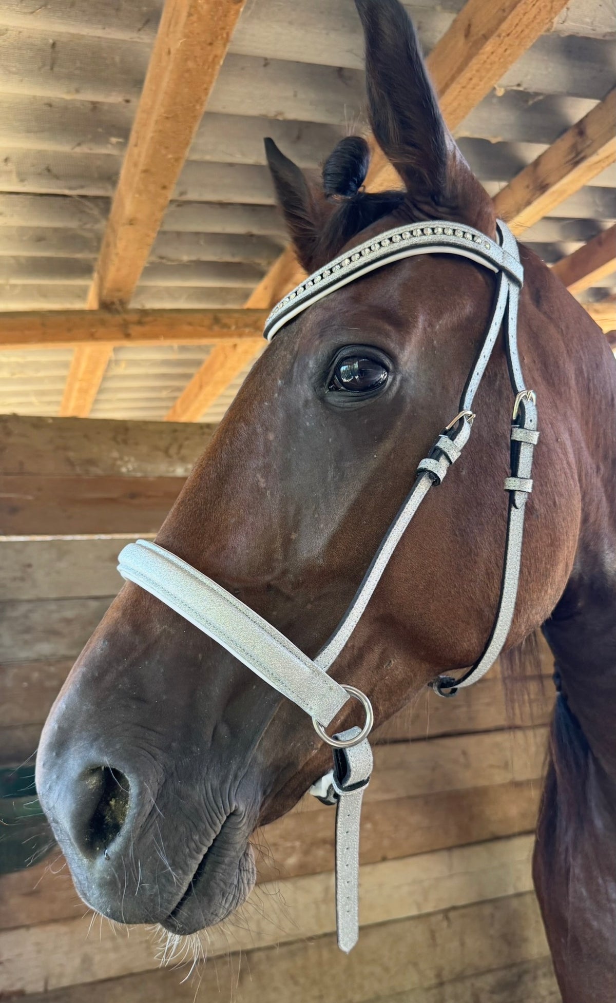 Bridle bitless with reins silver glitter