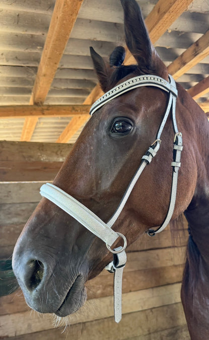 Bridle bitless with reins silver glitter