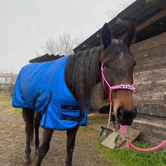 Coperta blu elettrico glitter