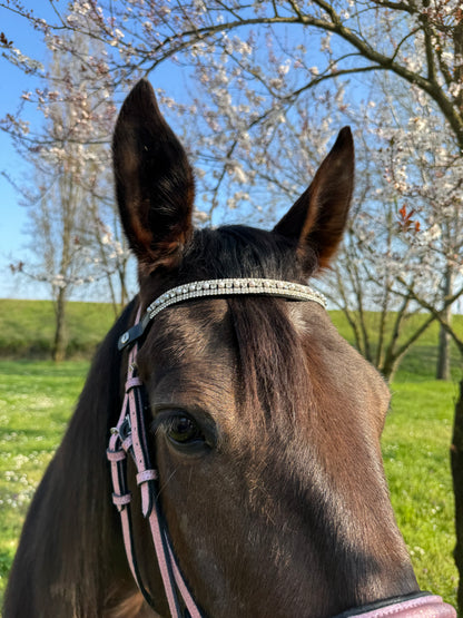 Browband silver pearls