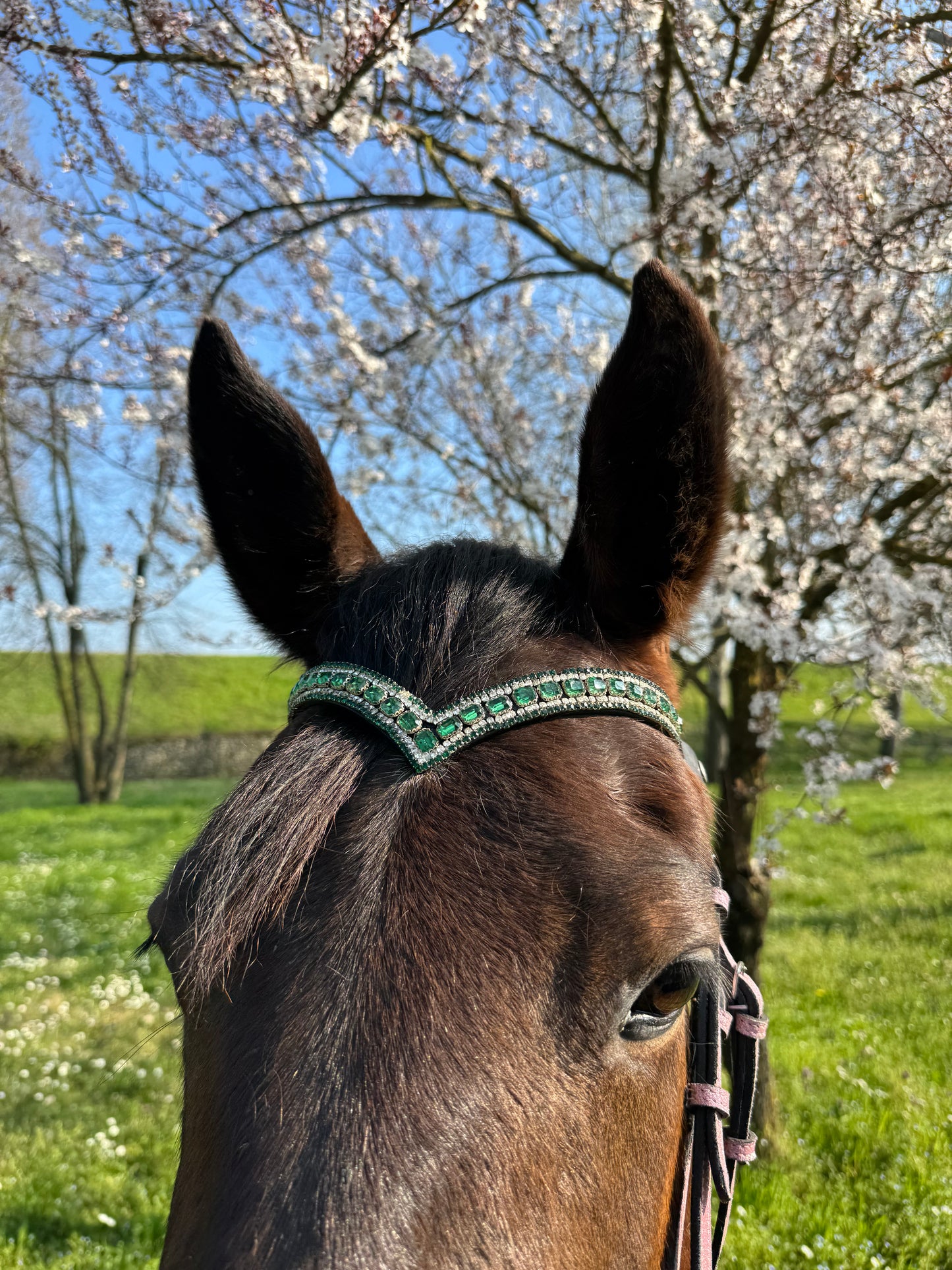 Browband Blush Diamond - Green