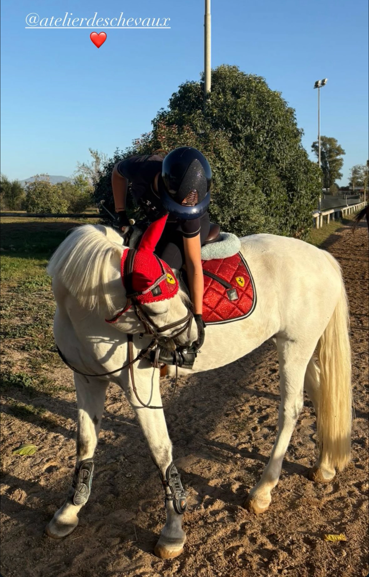 Sottosella e cuffietta Ferrari ❤️‍🔥