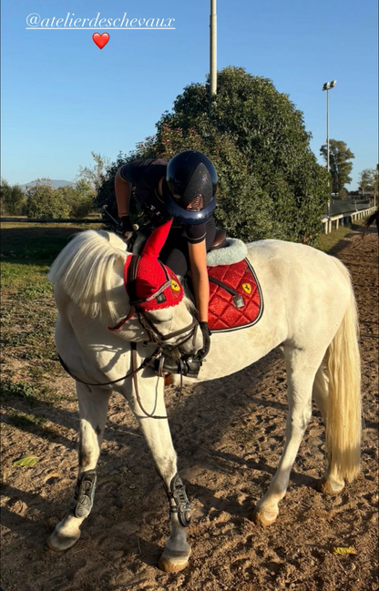 Sottosella e cuffietta Ferrari ❤️‍🔥