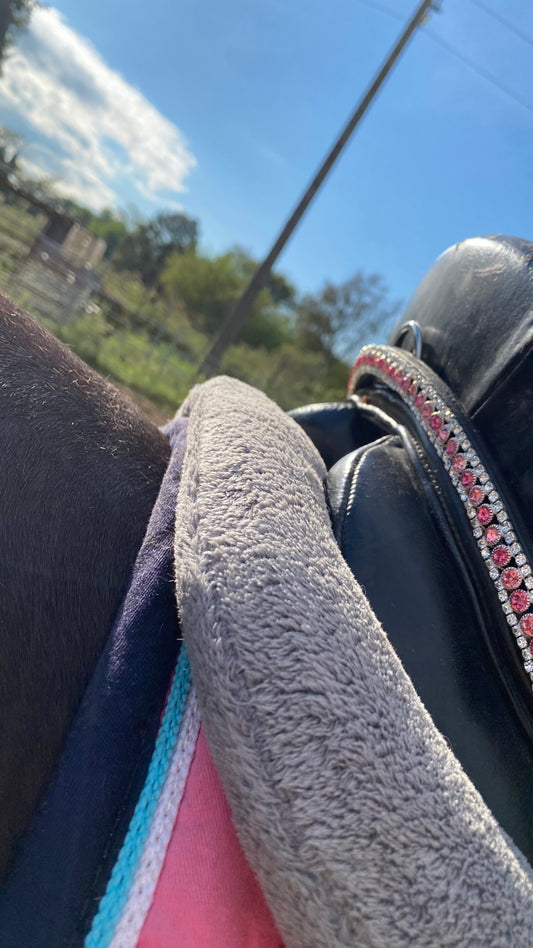 Pink Saddle Gem 💞