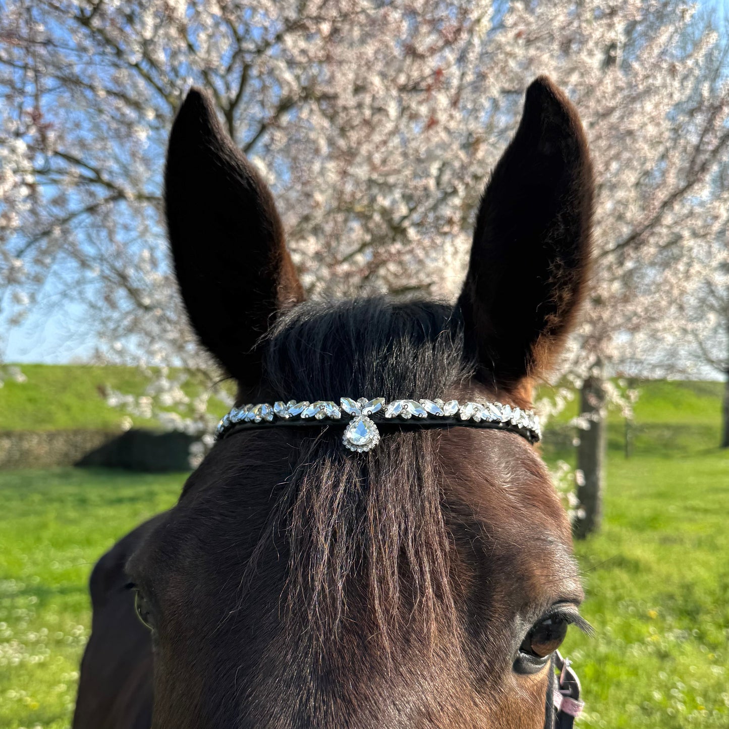 Browband silver