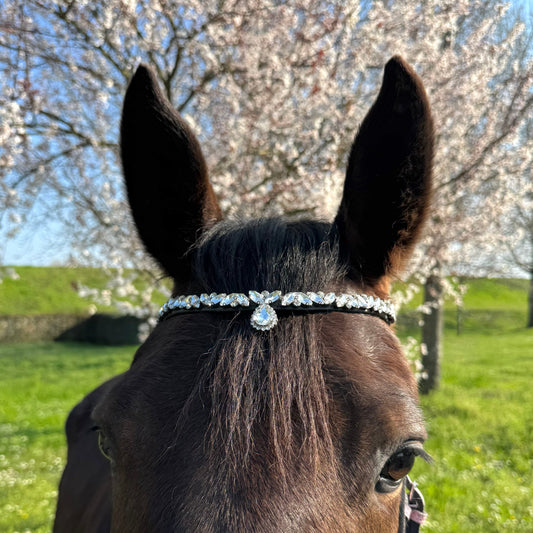 Browband silver