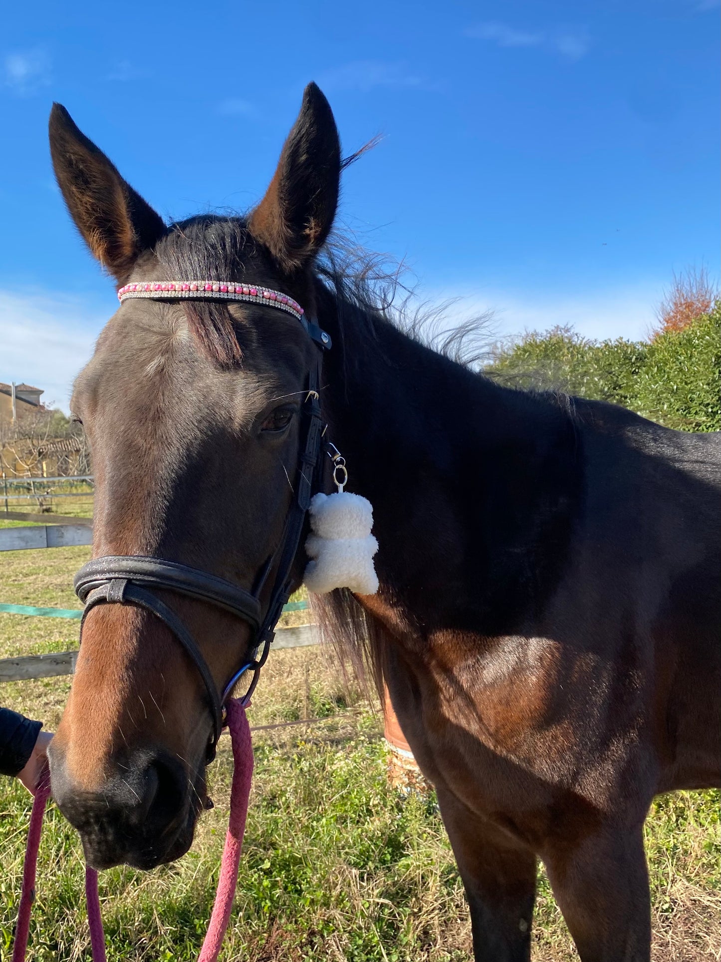 Frontalino con perle rosa