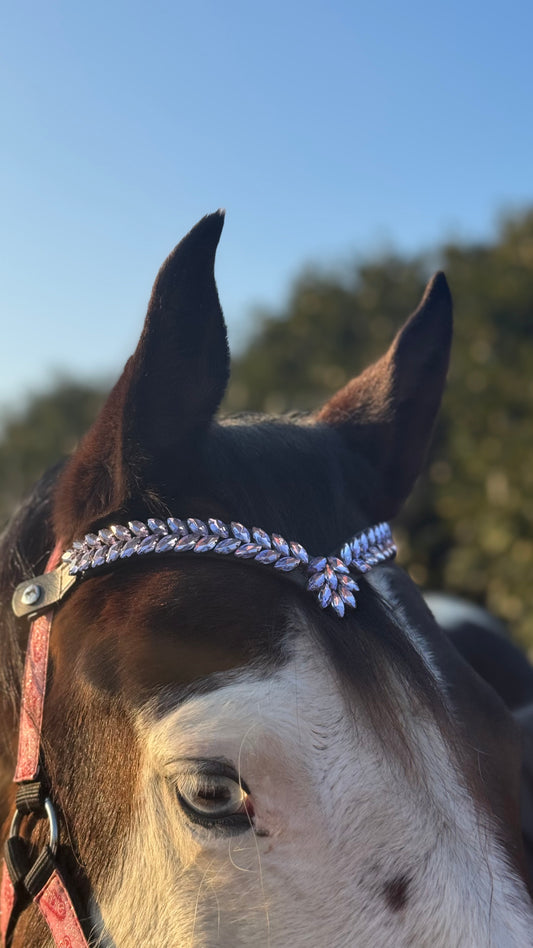 Frontalino Royal Violet