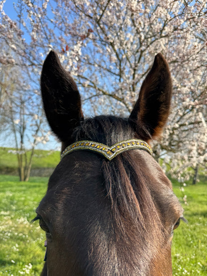 Blush Diamond browband - Yellow