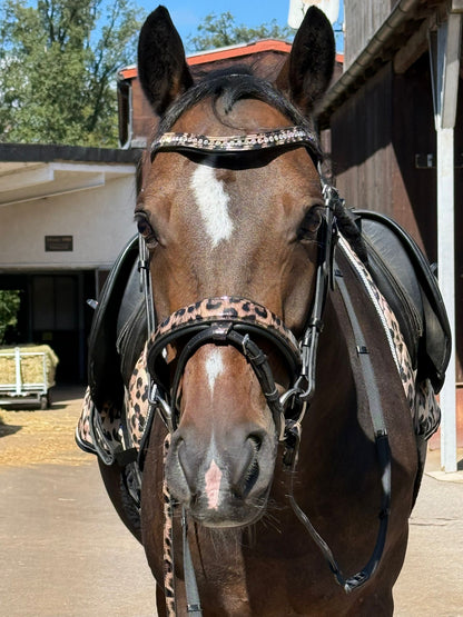 Bridle with reins leopard brown