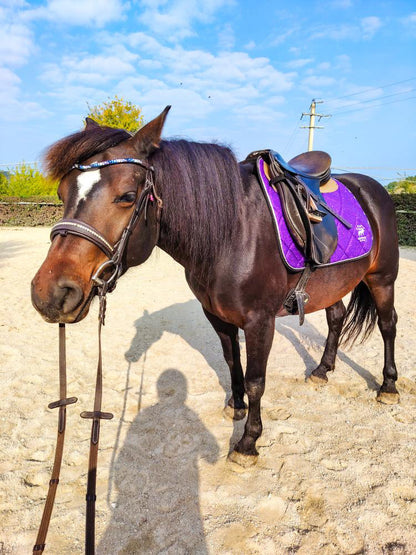 Sottosella e cuffietta da dressage viola glitter