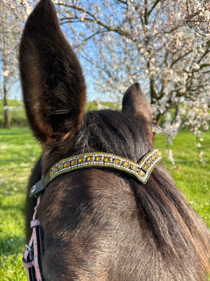 Blush Diamond browband - Yellow