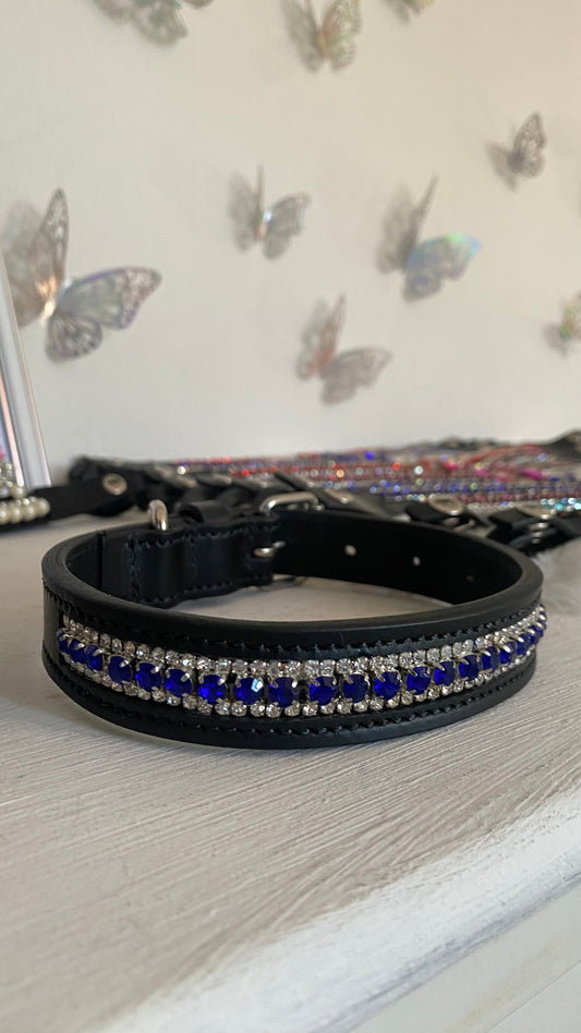 Collare per cani Royal Blue 💙