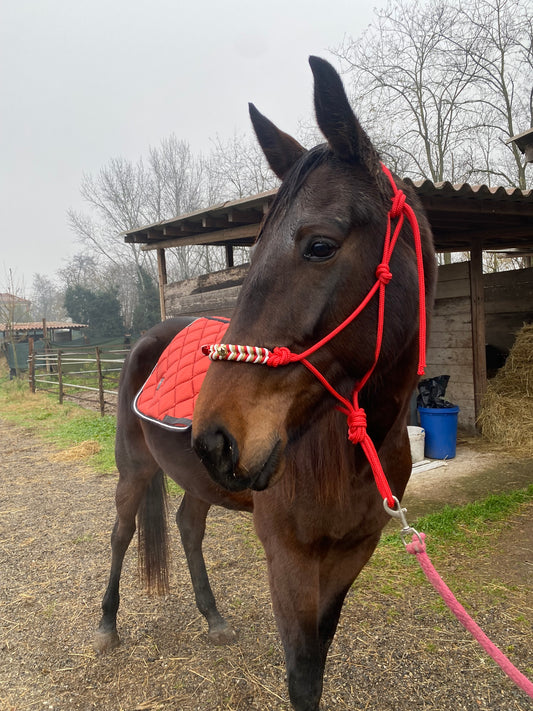 Cavezza rossa in corda natalizia