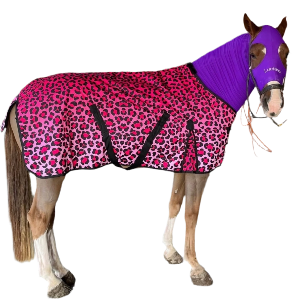 Coperta Glamour Leopard