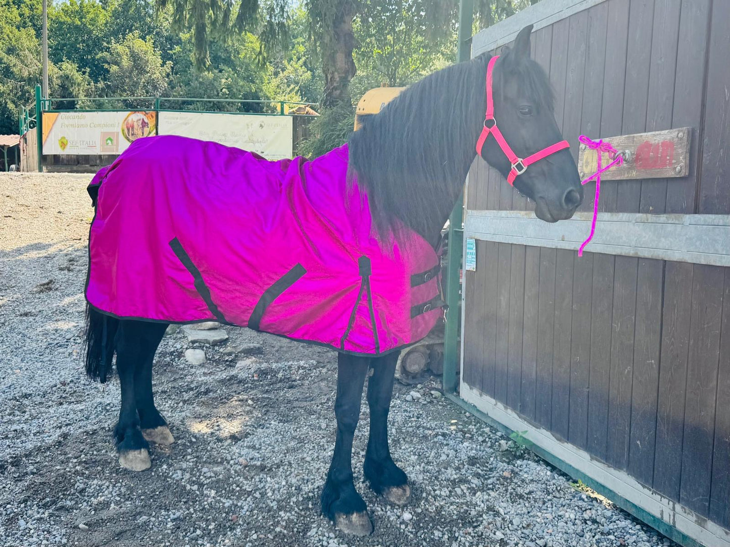 Coperta fucsia glitter