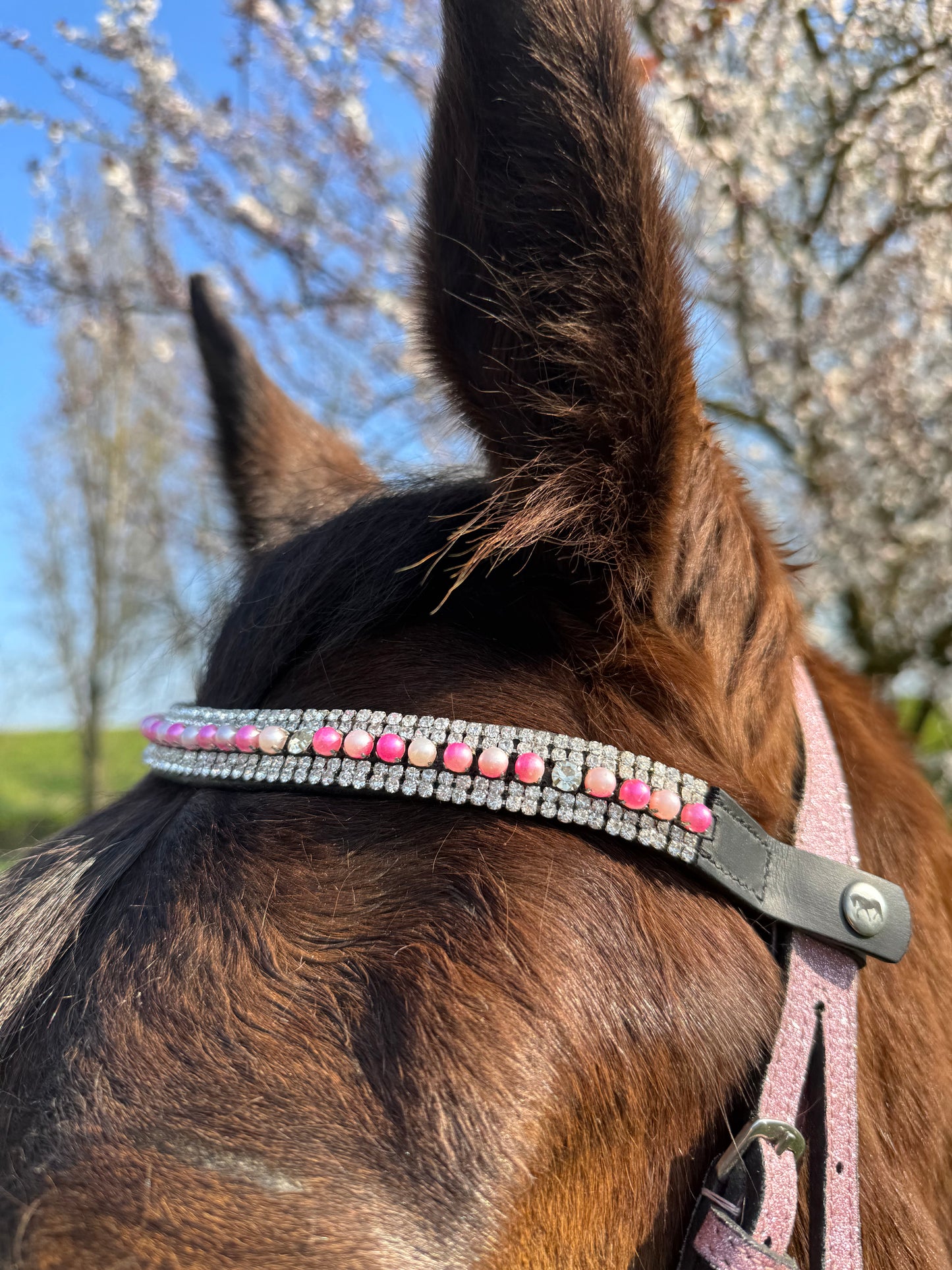 Browband pink pearls