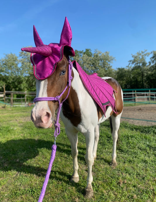 Set unicorno fucsia Glitter 🩷