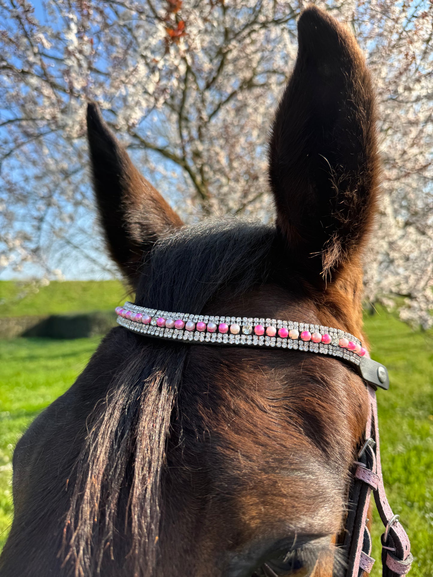 Browband pink pearls