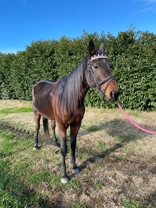 Frontalino Corona rosa chiaro