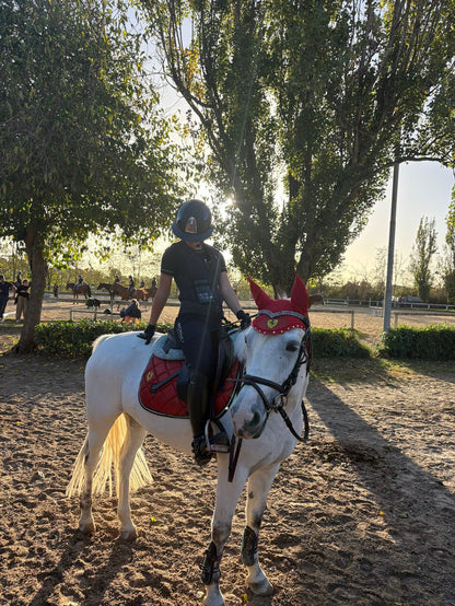 Sottosella e cuffietta Ferrari ❤️‍🔥