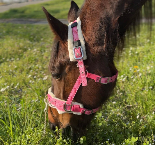 Halter