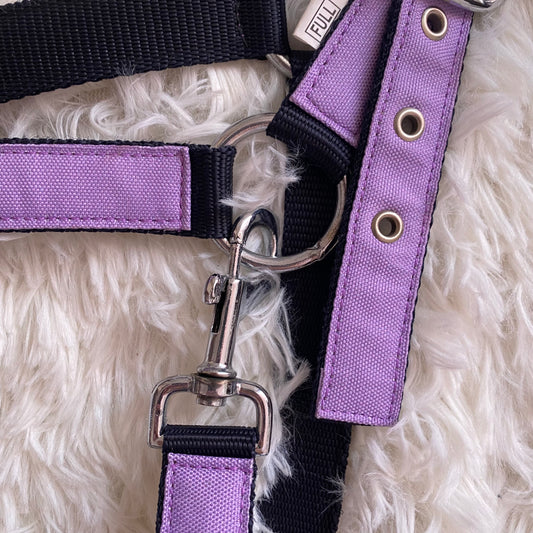 Cavezza Lila Star 🦄