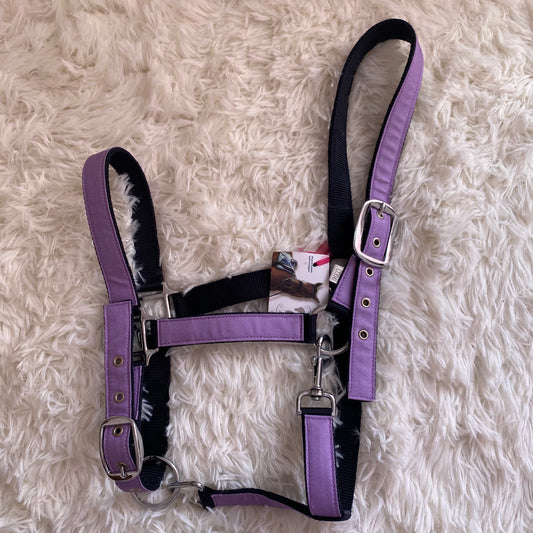 Cavezza Lila Star 🦄