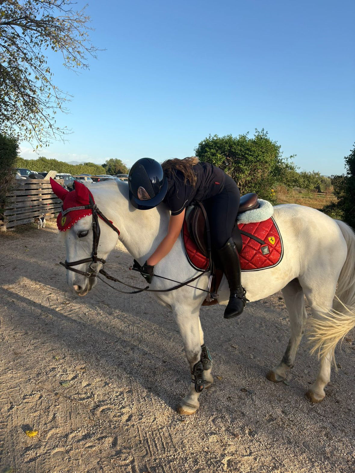 Sottosella e cuffietta Ferrari ❤️‍🔥