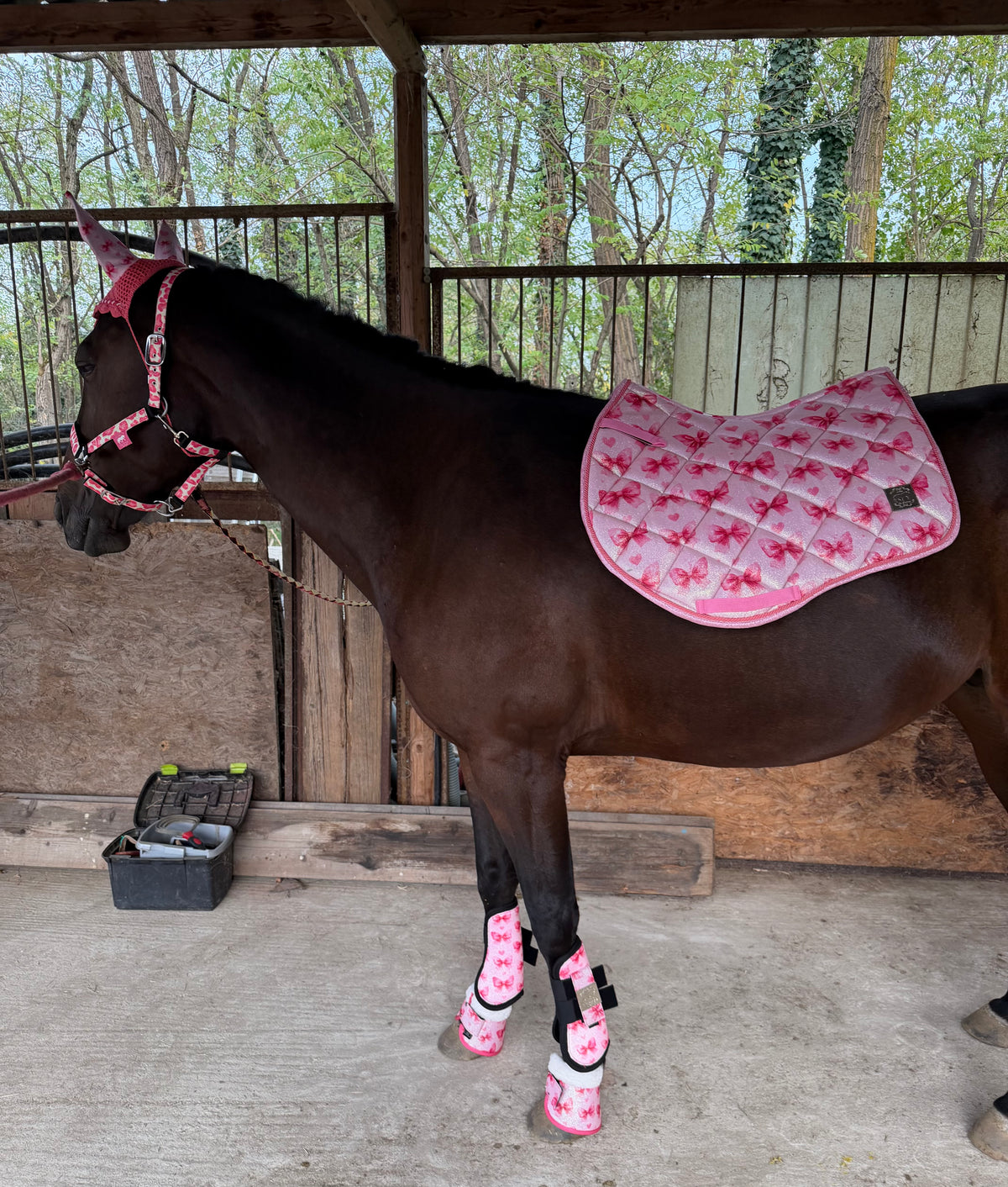 Set showjumping light pink with bows glitter