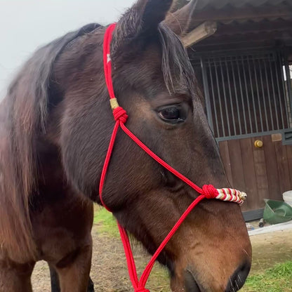 Cavezza rossa in corda natalizia