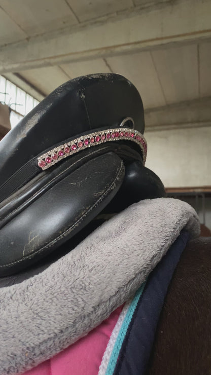 Pink Saddle Gem 💞