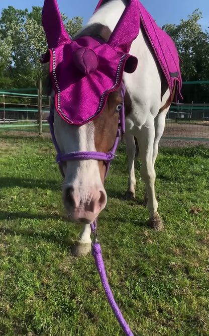 Set unicorno fucsia Glitter 🩷