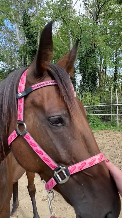 Frontalino Heart Charm