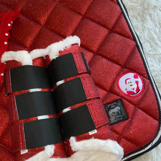 Completo da dressage natalizio 🎄✨❤️