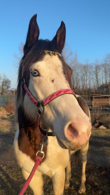Frontalino a goccia oro